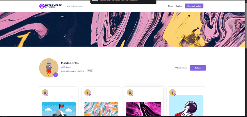 User profile and wallet interface